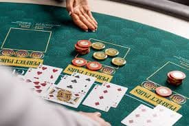 Account balance and spin tracking Account balance and spin history on okbtogel login dashboard